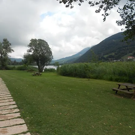 Dei Laghi Spinone Al Lago