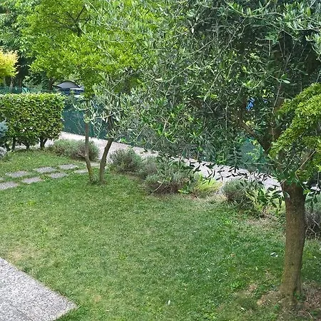 Dei Laghi * Spinone Al Lago