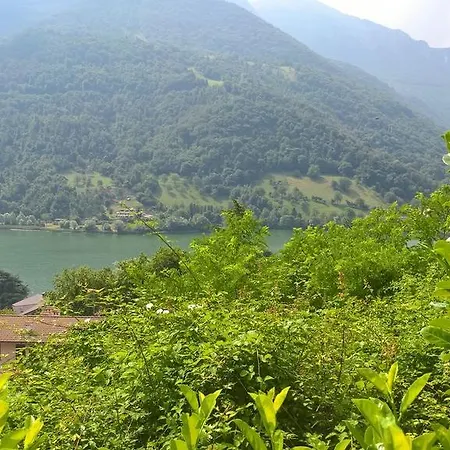 Dei Laghi Spinone Al Lago